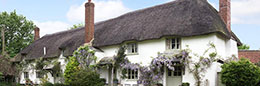 Thatch Property Insurance